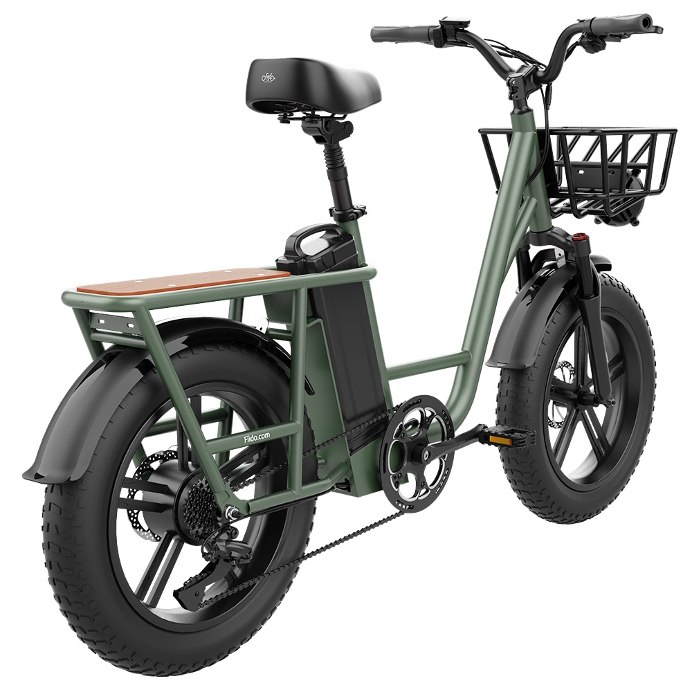 FIIDO T1 Cargo Electric Bike 750W Power 50km/h Max Speed 48V 20AH Lithium Battery 150km Range Shock Absorber -Green