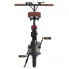 ESKUTE F200 Folding Electric Bike  250W Motor  36V 7 8Ah Battery  14 inch Tires  25km/h Max Speed  50km Range  Mechanical Disc 