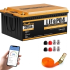Cloudenergy 25 6V 320Ah LiFePO4 Battery Pack  8192Wh Energy  6000  Cycles  Built-in 200A BMS