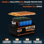 Cloudenergy 25 6V 320Ah LiFePO4 Battery Pack  8192Wh Energy  6000  Cycles  Built-in 200A BMS