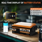 Cloudenergy 25 6V 320Ah LiFePO4 Battery Pack  8192Wh Energy  6000  Cycles  Built-in 200A BMS