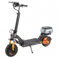 TWOFISH V5 MAX Electric Scooter with Seat  800W Motor  48V 18Ah Battery  Front 11 inch 