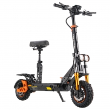 TWOFISH V5 MAX Electric Scooter with Seat  800W Motor  48V 18Ah Battery  Front 11 inch 