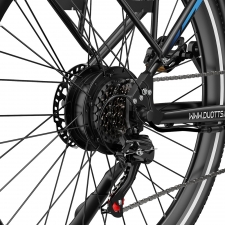 DUOTTS C29 Max Electric Bike  250W Motor  48V 18Ah Battery  29 inch Tires  25km/h Max Speed  120km Range  Hydraulic Disc Brakes
