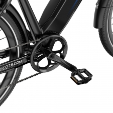 DUOTTS C29 Max Electric Bike  250W Motor  48V 18Ah Battery  29 inch Tires  25km/h Max Speed  120km Range  Hydraulic Disc Brakes