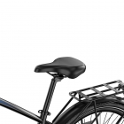 DUOTTS C29 Max Electric Bike  250W Motor  48V 18Ah Battery  29 inch Tires  25km/h Max Speed  120km Range  Hydraulic Disc Brakes