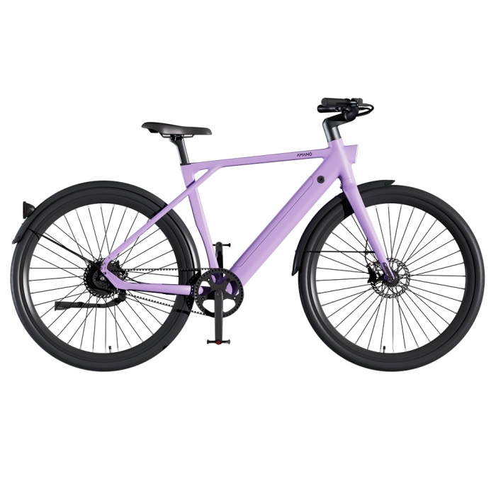 PIXAR S900 Electric Bike  250W Motor  36V 10Ah Battery  700*45C Tires  25km/h Max Speed  100km Range  Hydraulic Disc Brake - Pu