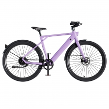 PIXAR S900 Electric Bike  250W Motor  36V 10Ah Battery  700*45C Tires  25km/h Max Speed  100km Range  Hydraulic Disc Brake - Pu