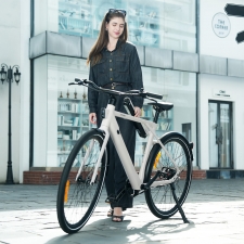 PIXAR S900 Electric Bike  250W Motor  36V 10Ah Battery  700*45C Tires  25km/h Max Speed  100km Range  Hydraulic Disc Brake - Wh