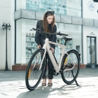 PIXAR S900 Electric Bike  250W Motor  36V 10Ah Battery  700*45C Tires  25km/h Max Speed  100km Range  Hydraulic Disc Brake - Wh