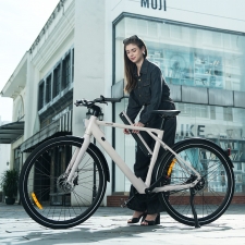 PIXAR S900 Electric Bike  250W Motor  36V 10Ah Battery  700*45C Tires  25km/h Max Speed  100km Range  Hydraulic Disc Brake - Wh