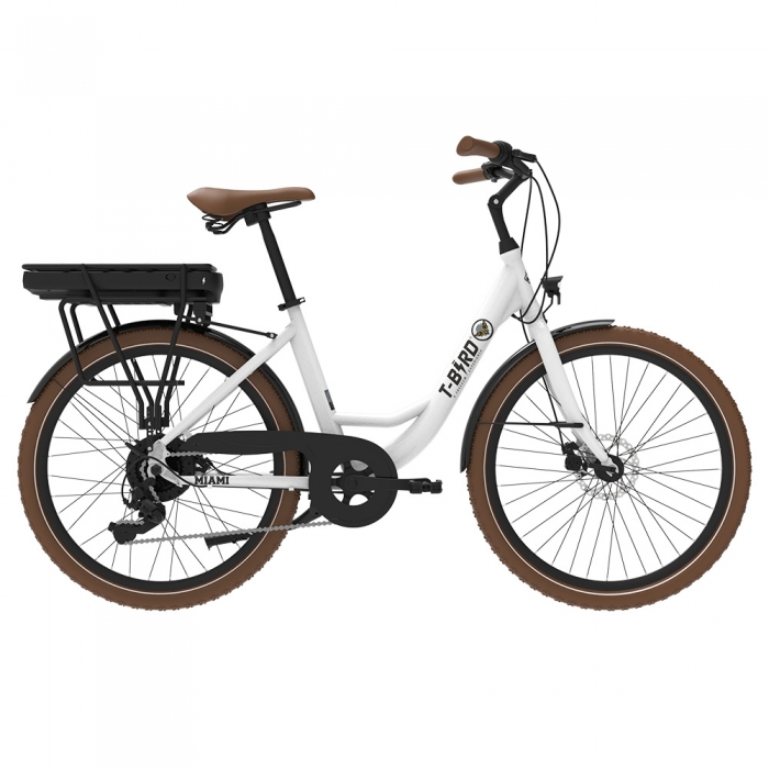 Miami-26 Electric Bike  250W Motor  36V 14 4Ah Battery  26*1 95 inch Tires  25km/h Max Speed  45km Range  Front 