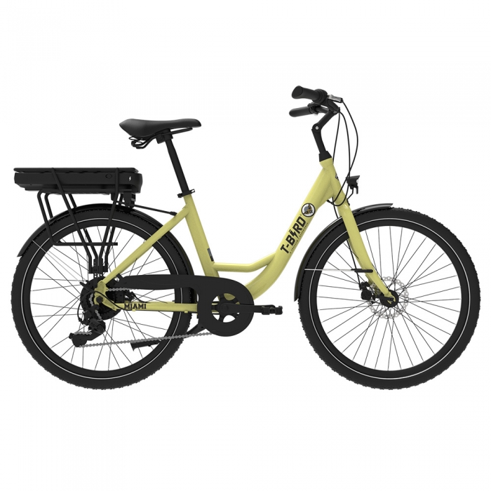 Miami-26 Electric Bike  250W Motor  36V 14 4Ah Battery  26*1 95 inch Tires  25km/h Max Speed  45km Range  Front