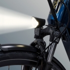 CITY 5 3-18 Electric Bike  250W Motor  36V 14Ah Battery  700*40C Tires  25km/h Max Speed  45km Range  Front