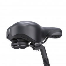 CITY 1 3-18 Electric Bike  250W Motor  37V 14Ah Battery  700*40C Tires  25km/h Max Speed  45km Range  Front