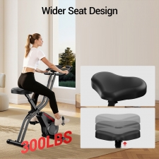 ROBORE CBX10 Home Exercise Bike  Quiet Magnetic Resistance  8-Level Adjustable  Adjustable Seat 