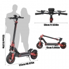 TWOFISH V4 MAX Electric Scooter  800W Motor  52V 23Ah Battery  10 inch Tires  57km/h Max Speed  60km Range  Dual Disc Brake  Fr