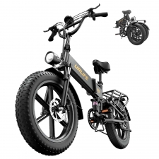 URLIFE T5 Electric Bike  750W Motor  48V 13Ah Battery  20*4 inch Tires  45km/h Max Speed  125km Max Range  Dual Disc Brakes  Fu