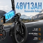 URLIFE T5 Electric Bike  750W Motor  48V 13Ah Battery  20*4 inch Tires  45km/h Max Speed  125km Max Range  Dual Disc Brakes  Fu