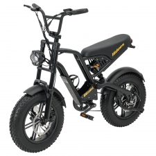 Hidoes B6mini Electric Bike  500W Motor  48V 10 4Ah Battery  16 inch Tires  35km/h Max Speed  28km Range  Front 