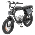 Hidoes B9 Electric Bike  750W Motor  48V 18 2Ah 15 6Ah Dual Battery  20*4 0 inch Tires  45km/h Max Speed  150km Max Range  Fron