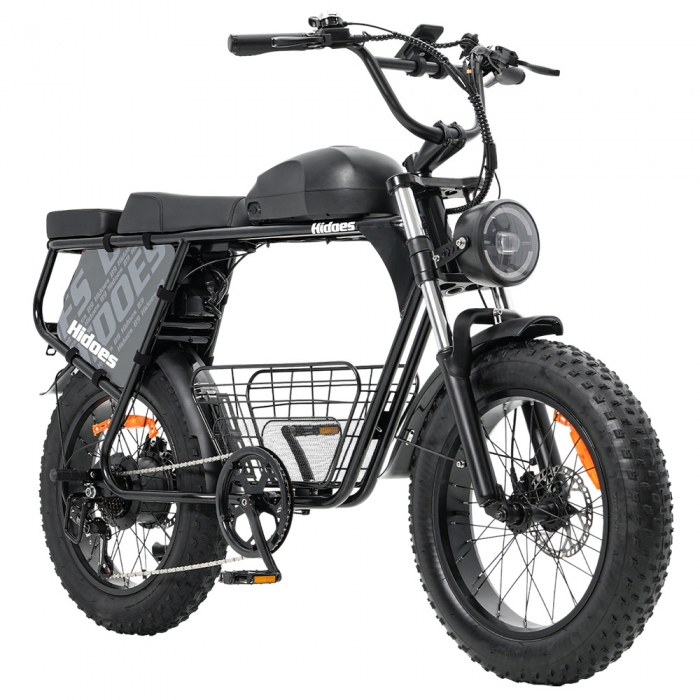 Hidoes B9 Electric Bike  750W Motor  48V 18 2Ah 15 6Ah Dual Battery  20*4 0 inch Tires  45km/h Max Speed  150km Max Range  Fron