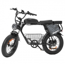 Hidoes B9 Electric Bike  750W Motor  48V 18 2Ah 15 6Ah Dual Battery  20*4 0 inch Tires  45km/h Max Speed  150km Max Range  Fron