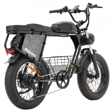 Hidoes B9 Electric Bike  750W Motor  48V 18 2Ah 15 6Ah Dual Battery  20*4 0 inch Tires  45km/h Max Speed  150km Max Range  Fron