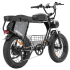 Hidoes B9 Electric Bike  750W Motor  48V 18 2Ah 15 6Ah Dual Battery  20*4 0 inch Tires  45km/h Max Speed  150km Max Range  Fron