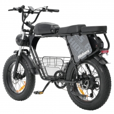 Hidoes B9 Electric Bike  750W Motor  48V 18 2Ah 15 6Ah Dual Battery  20*4 0 inch Tires  45km/h Max Speed  150km Max Range  Fron