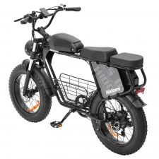 Hidoes B9 Electric Bike  750W Motor  48V 18 2Ah 15 6Ah Dual Battery  20*4 0 inch Tires  45km/h Max Speed  150km Max Range  Fron