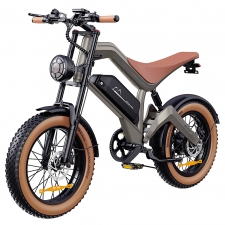 ZONVEER M20 Electric Bike  1000W  1500W Peak  Motor  48V 18 2Ah Battery  55km/h Max Speed  60km PAS Range  20" x 4 0" Fat Tires