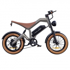 ZONVEER M20 Electric Bike  1000W  1500W Peak  Motor  48V 18 2Ah Battery  55km/h Max Speed  60km PAS Range  20" x 4 0" Fat Tires