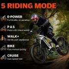 PHILIAM F3 PRO Dual Motor Electric Bike  1000W*2  3000W Peak   52V 23Ah Battery  37 MPH  100 Mile Range  26"×4" Fat Tire  4-Pi