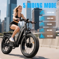 HIKNIGHT H2 PRO Electric Bike  3000W Peak Dual Motors  61km/h Max Speed  145km Range  52V 20Ah Removable Battery  35° Climbing