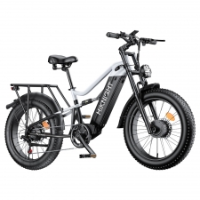 HIKNIGHT H6 PRO Electric Bike  4000W Peak Dual Motors  52V 20Ah Removable Battery  145km Range  64km/h Max Speed  200N·m Torqu