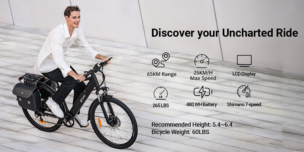 DYU C5 City Electric Bike 250W Motor 48V 10AH Battery 27 5 Inch Tire 25km/h Max Speed 65km Range Dual Disc Brakes Shiman