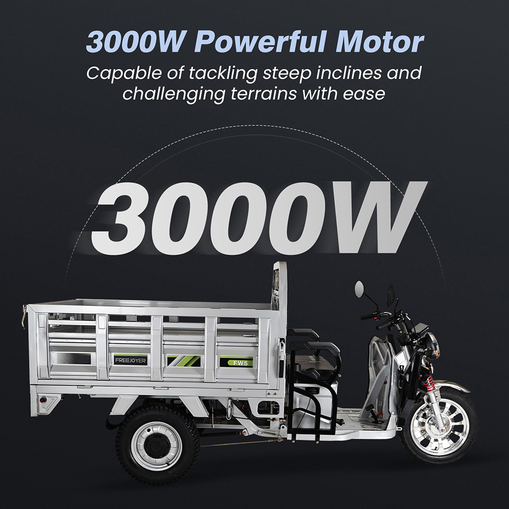 Freejoyer FW5 Electric Cargo Tricycle 3000W Motor 72V 58Ah Battery 45km/h Max Speed 86km Range Front Disc Brake