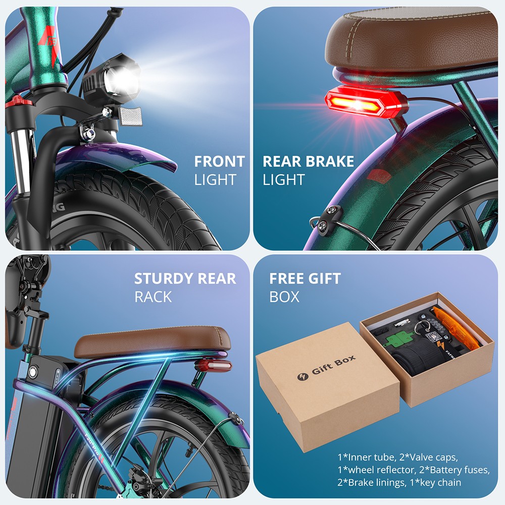 Fafrees F20  Pro Folding Electric Bike  250W Motor  36V 22 5Ah Battery  20*3 0 inch Tires  25km/h Max Speed  100km Max Range  D