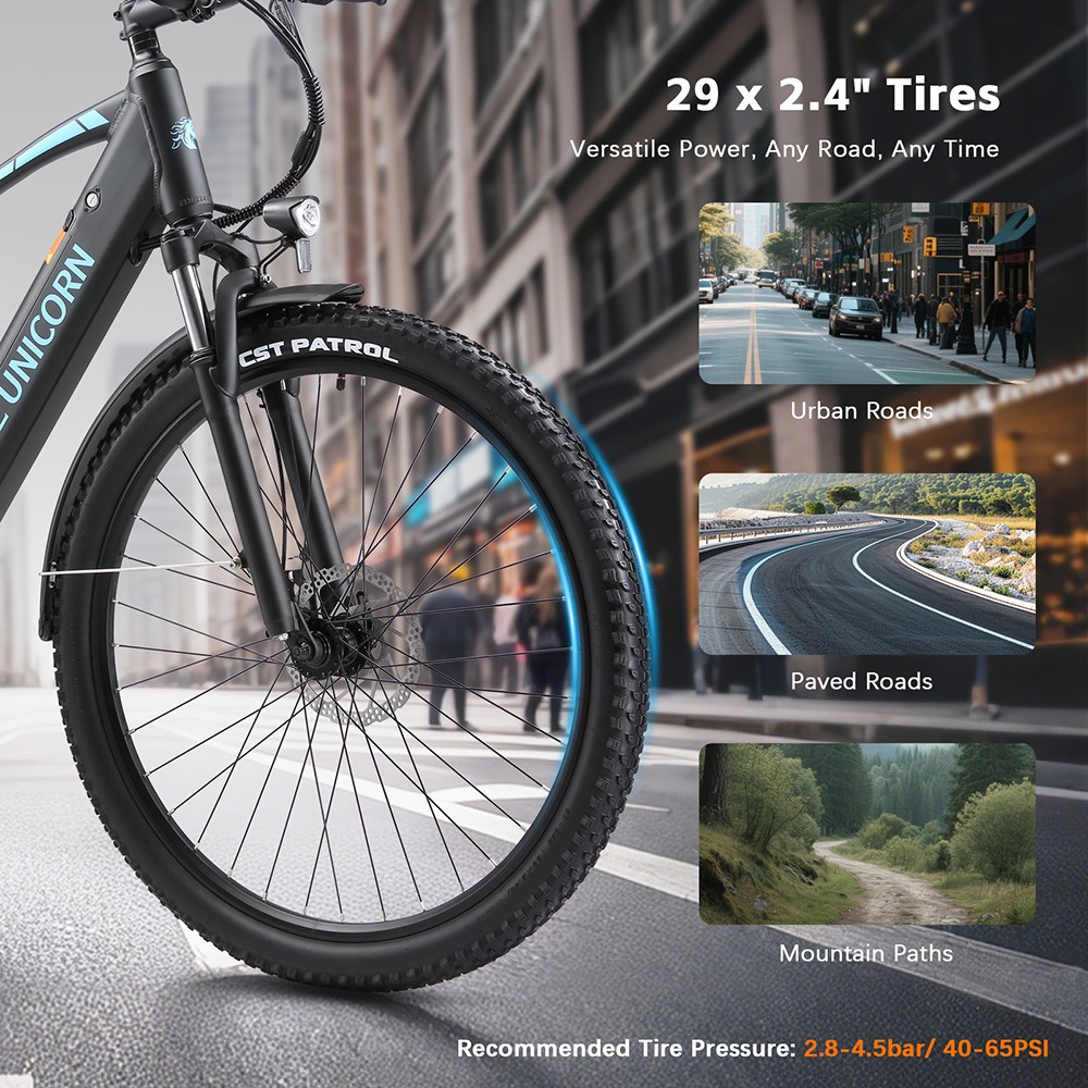 PURE UNICORN U3 Electric Bike 750W Motor 48V 12 8Ah Battery 29 inch Tires 45km/h Max Speed 60km Range Mechanical Disc Bra
