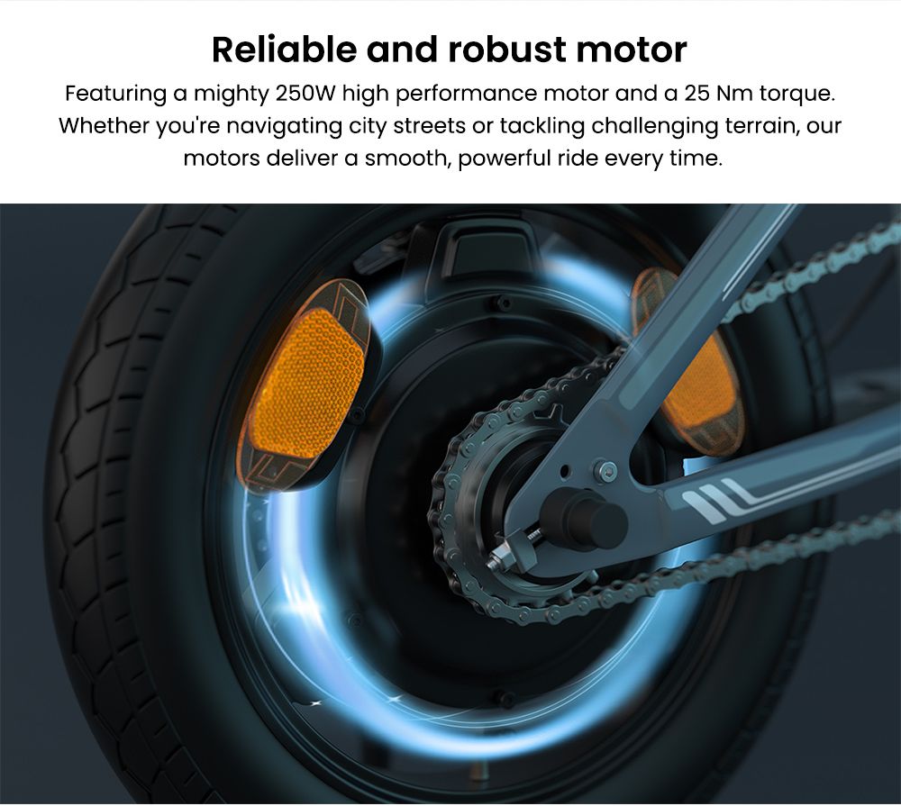 ESKUTE F100 Folding Electric Bike 250W Motor 36V 9Ah Battery 14 inch Tires 25km/h Max Speed 55km Range Mechanical Disc Br