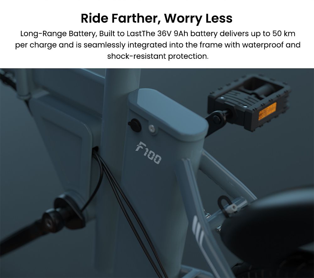 ESKUTE F100 Folding Electric Bike 250W Motor 36V 9Ah Battery 14 inch Tires 25km/h Max Speed 55km Range Mechanical Disc Br