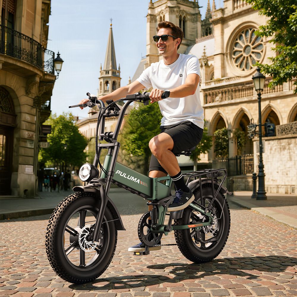 PULUMA PE500 Electric Bike 2*500W Motor 48V 17 5Ah Battery 20*4 0 inch Tires 40km/h Max Speed 150km Max Range Hydraulic O