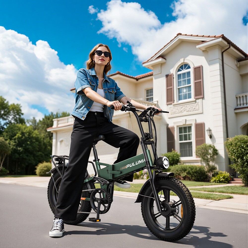 PULUMA PE500 Electric Bike 2*500W Motor 48V 17 5Ah Battery 20*4 0 inch Tires 40km/h Max Speed 150km Max Range Hydraulic O