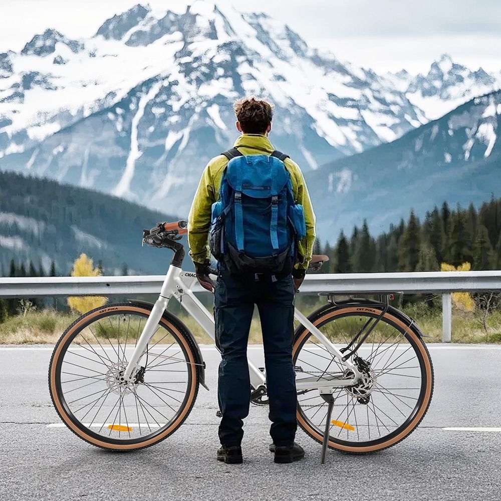 CMACEWHEEL F700-2 Electric Bike 250W Motor 36V 10Ah Battery 700*38C Tires 25km/h Max Speed 80km Range Hydraulic Disc Brak
