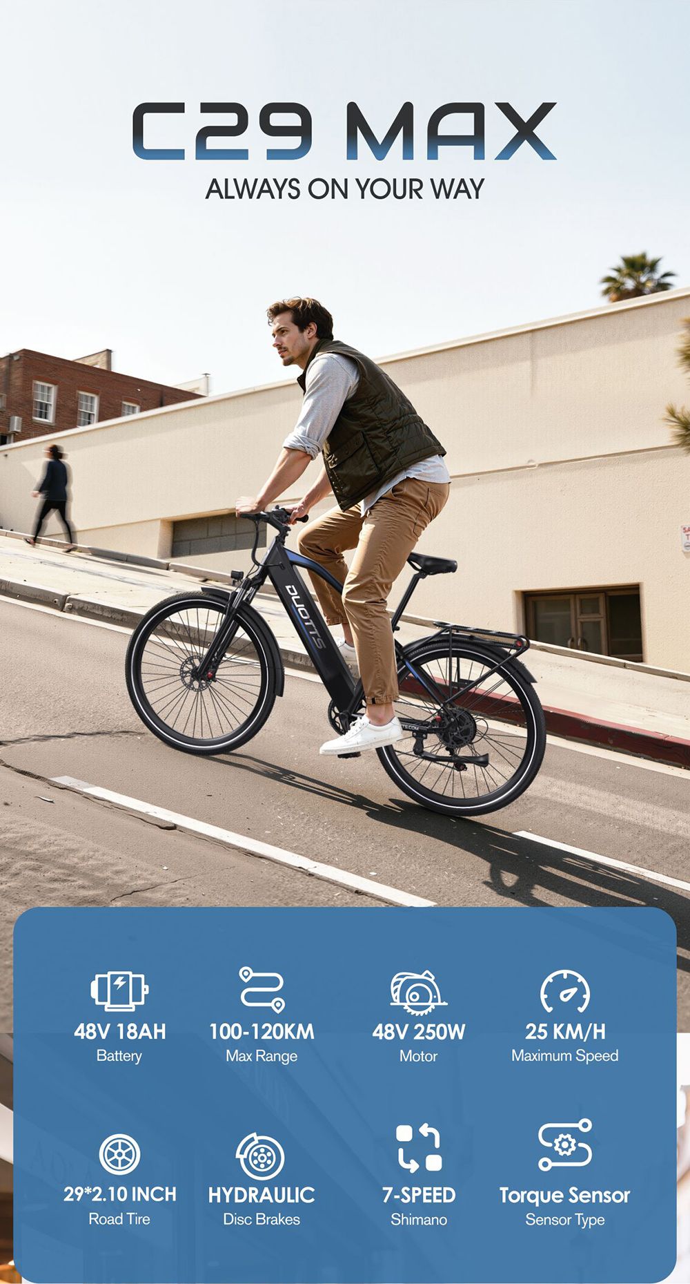 DUOTTS C29 Max Electric Bike 250W Motor 48V 18Ah Battery 29 inch Tires 25km/h Max Speed 120km Range Hydraulic Disc Brakes