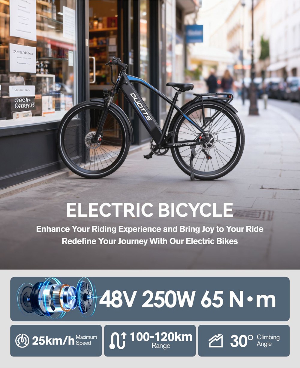 DUOTTS C29 Max Electric Bike 250W Motor 48V 18Ah Battery 29 inch Tires 25km/h Max Speed 120km Range Hydraulic Disc Brakes