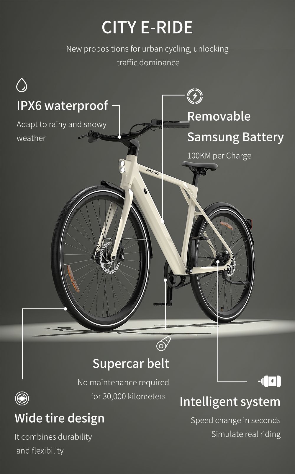 PIXAR S900 Electric Bike 250W Motor 36V 10Ah Battery 700*45C Tires 25km/h Max Speed 100km Range Hydraulic Disc Brake - Pu