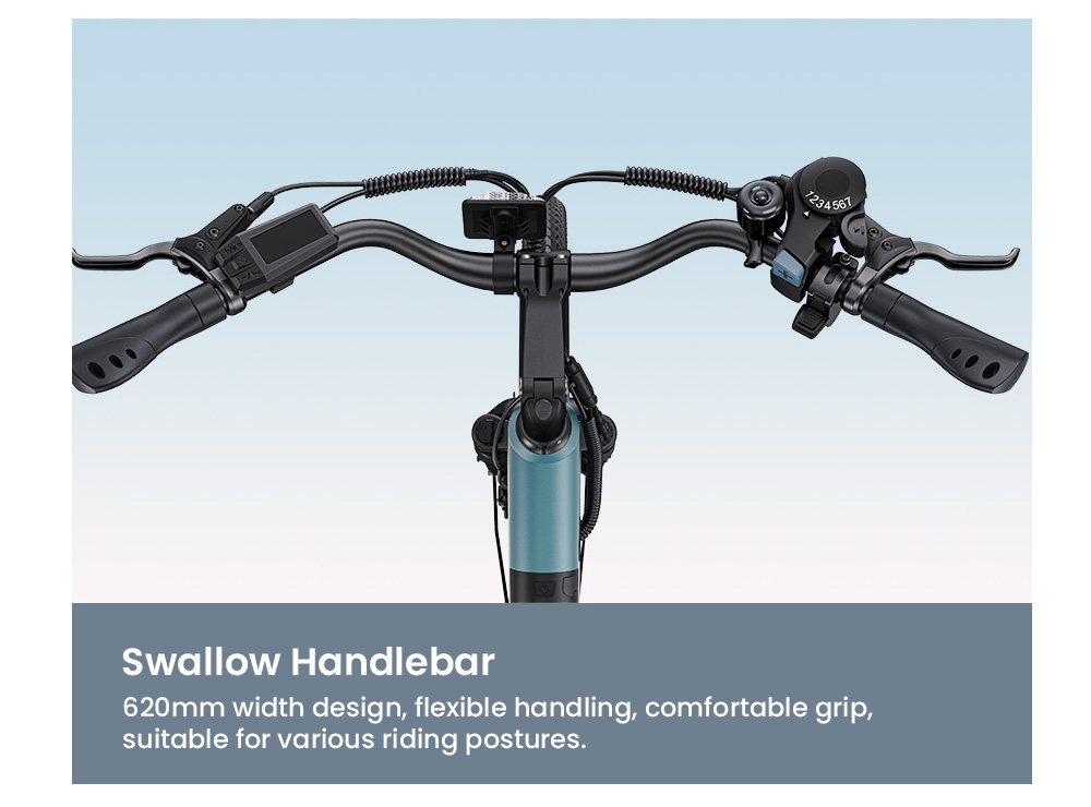 ENGWE P275 SE Electric Bike 250W Motor 36V 13Ah Battery 27 5 inch Tires 25km/h Max Speed 100km Range Hydraulic Disc Brake