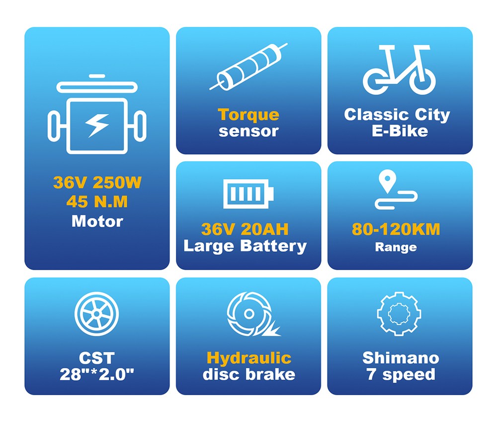 TTGO C3 Pro Electric Bike 250W Motor 36V 20Ah Battery 28 inch Tires 25km/h Max Speed 120km Max Range Hydraulic Disc Brake